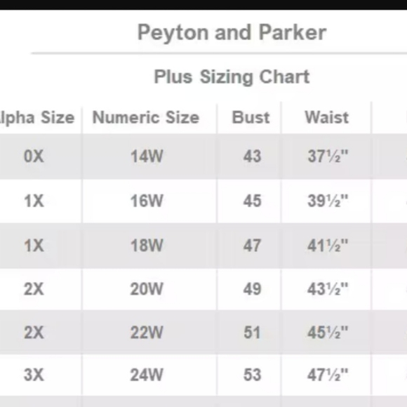 💙 Swimwear bottoms only full coverage. Peyton and Parker. NWT Sizes 1x,3x - Picture 3 of 8